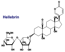 Hellebrin