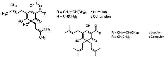 Humulon, Lupulon