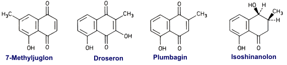 Plumbagin
