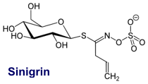 Sinigrin