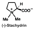 Stachydrin