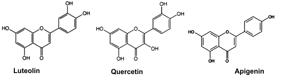 Flavonoide