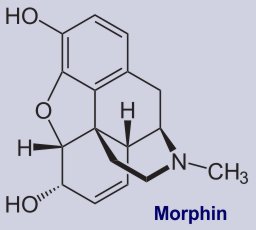 Strukturformel von Morphin