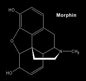 morphin_formel.gif (2097 Byte)