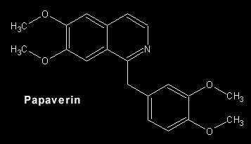 papaverin_formel.gif (2186 Byte)