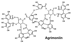 Agrimonin