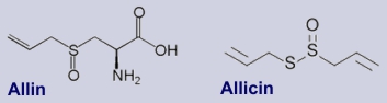 Allin, Allicin