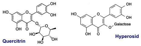 Hyperosid_Quercitrin
