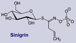 Sinigrin