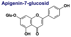 Apigenin-7-glucosid
