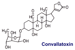 Convallatoxin