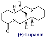 lupanin