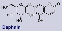Daphnin - Inhaltsstoff des Seidelbasts
