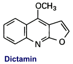 Dictamin