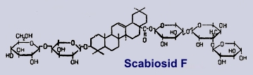 Scabiosid F