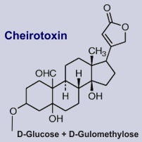 Cheirotoxin - Inhaltsstoff des Goldlacks