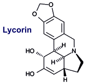 Lycorin