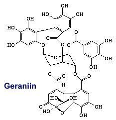 Geraniin