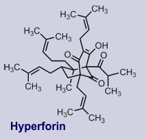 Hyperforin