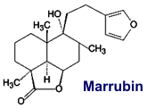 Marrubin