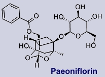 Paeoniflorin