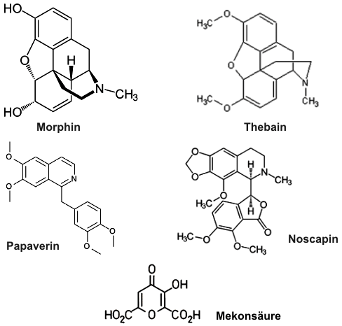Morphin, Thebain, Papaverin, Noscapin, Mekons&auml;ure