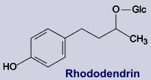 Rhododendrin
