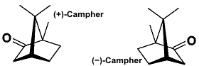 Campher