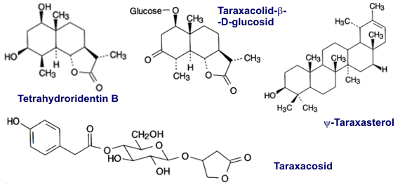 Taraxacosid