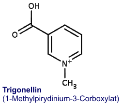 Trigonellin