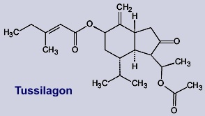 Tussilagon