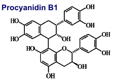 Procyanidin B1