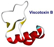 Viscotoxin B