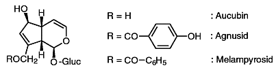 Aucubin, Agnusid, Melampyrosid