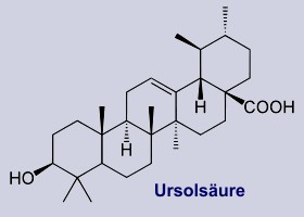 Ursolsäure - Inhaltsstoff des Odermennigs