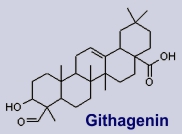 Githagenin - Inhaltsstoff der Kornrade