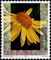Arnika auf Briefmarke