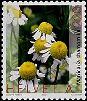 Kamille auf Briefmarke