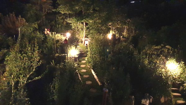 Heilpflanzengarten bei Nacht