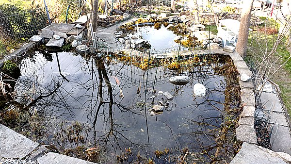 Gartenteich