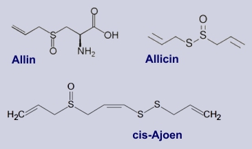 Alliin, Allicin, Ajoen