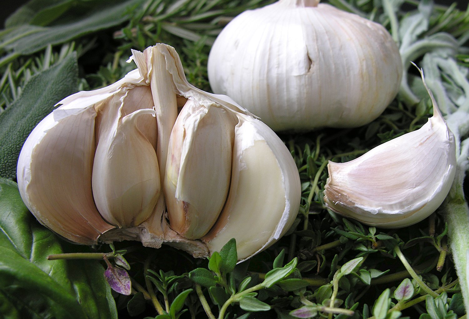 Knoblauch als Heilpflanze - AWL.ch