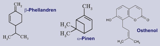 Phellandren, Pinen, Osthenol