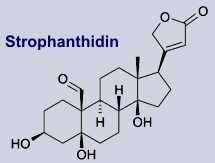 Strophanthidin