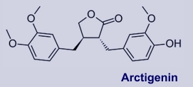 Arctigenin