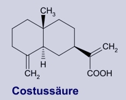 Costussäure