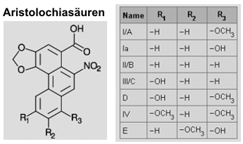 Chemische Formeln der Aristolochiasäuren