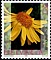 Heilpflanzen - Briefmarke