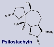 Psilostachyin
