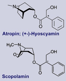 Atropin / Scopolamin